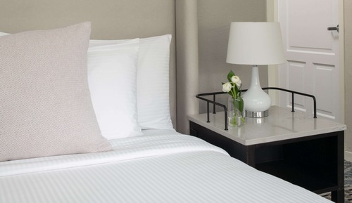Premier King Balcony ADA Roll-In Shower