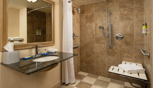 Habitación estándar, 1 cama doble (Mobility, Roll-In Shower)