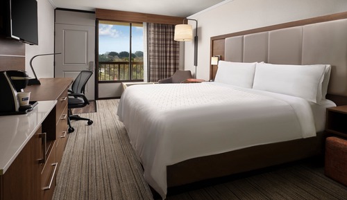 Habitación estándar, 1 cama de matrimonio grande