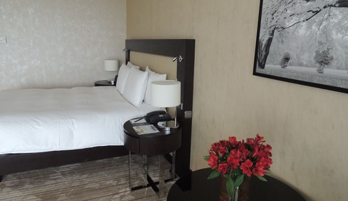 Deluxe Room, 1 King Bed, Non Smoking