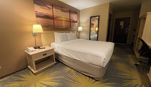 Habitación estándar, 1 cama de matrimonio grande