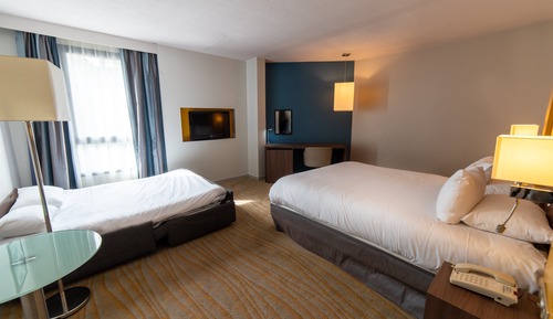 Habitación estándar, 1 cama doble con sofá cama