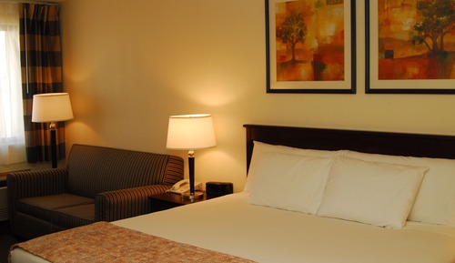 Habitación estándar, 1 cama de matrimonio grande, no fumadores