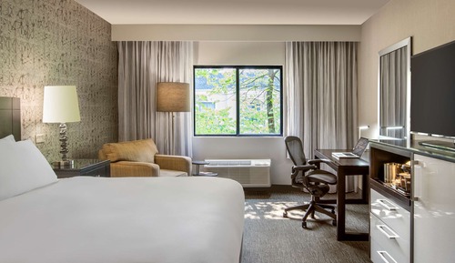 Habitación estándar, 1 cama de matrimonio grande