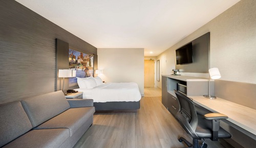 Habitación estándar, 1 cama de matrimonio con sofá cama (with Sofabed)