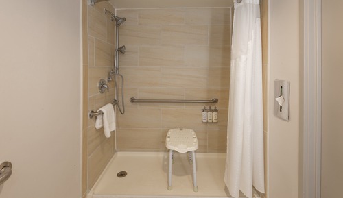 Habitación estándar, 1 cama de matrimonio, accesible en silla de ruedas (Roll-In Shower)