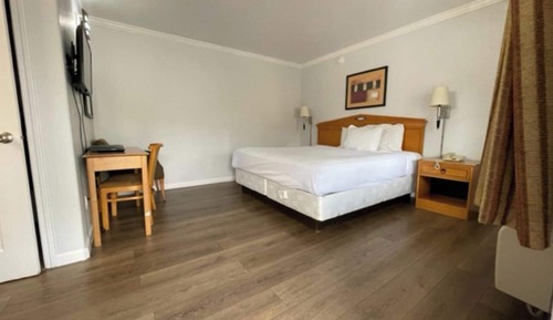 Habitación estándar, 1 cama de matrimonio, no fumadores