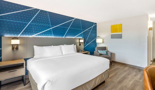 Habitación estándar, 1 cama de matrimonio grande, no fumadores