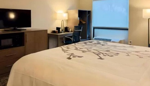 Habitación estándar, 1 cama de matrimonio grande, no fumadores