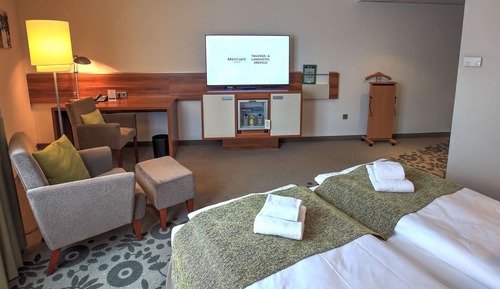 Habitación estándar, 1 cama doble