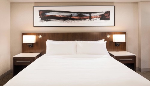 Habitación ejecutiva, 1 cama de matrimonio grande con sofá cama, no fumadores