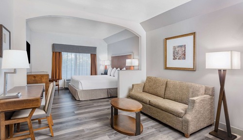 Suite Deluxe, 1 cama de matrimonio grande, no fumadores