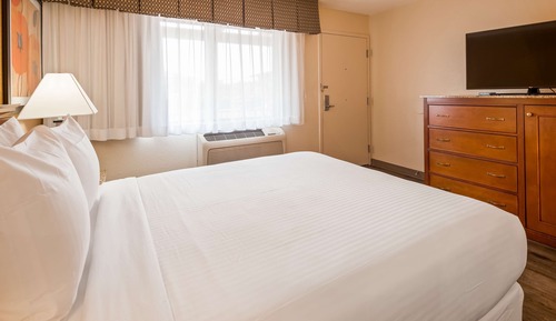 Habitación estándar, 1 cama de matrimonio grande, no fumadores, frigorífico y microondas