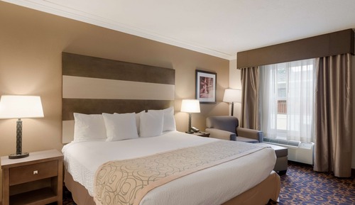 Habitación estándar, 1 cama de matrimonio grande, no fumadores, bañera de hidromasaje