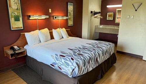 Suite, 1 cama de matrimonio grande con sofá cama, no fumadores (2 Rooms)