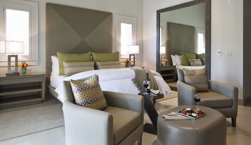 Suite Premium, 1 cama de matrimonio grande, vistas al jardín
