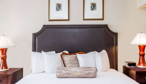 Suite presidencial, 1 cama de matrimonio grande