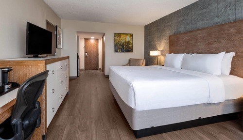 Habitación Premier, 1 cama de matrimonio grande