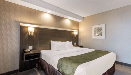 Habitación estándar, 1 cama de matrimonio grande, no fumadores