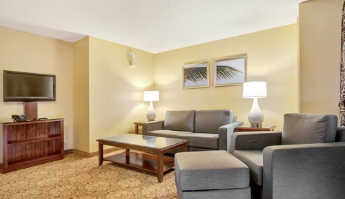 Suite junior, 1 cama de matrimonio grande, no fumadores (1 Bedroom, Banyan View)