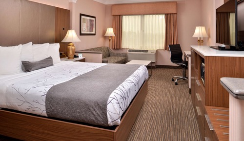 Habitación estándar, 1 cama de matrimonio grande, no fumadores, frigorífico