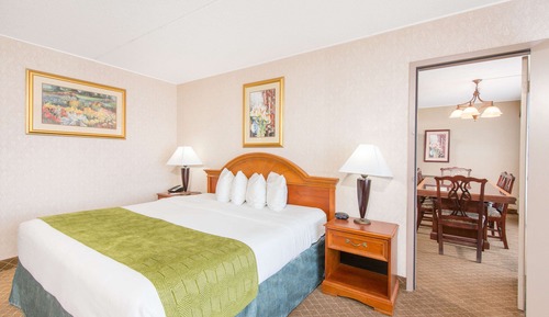 Suite, 1 cama de matrimonio grande, no fumadores (One-Bedroom)