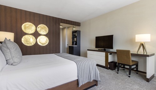 Habitación Club, 1 cama de matrimonio grande