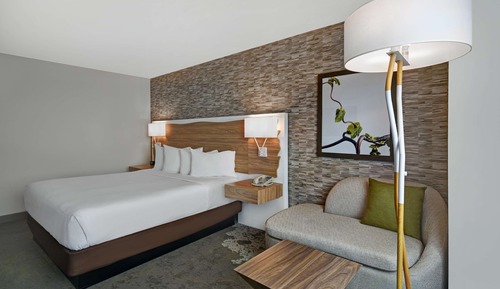 Habitación, 1 cama de matrimonio grande