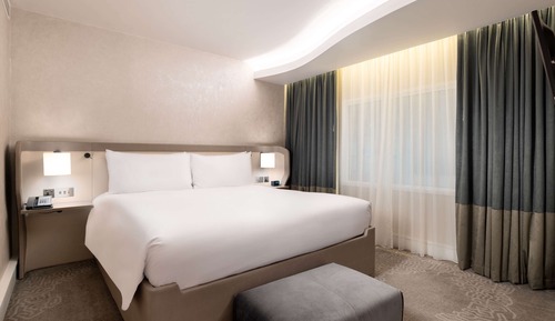 Suite junior, 1 cama de matrimonio grande (With Lounge Access)
