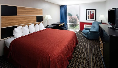 Suite, 1 cama de matrimonio grande