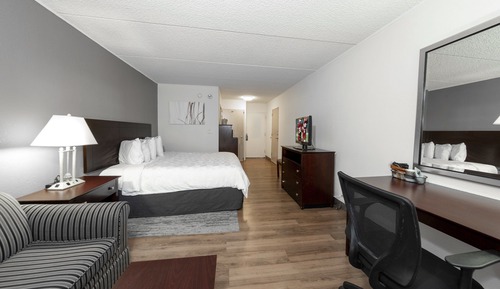 Habitación Deluxe, 1 cama de matrimonio grande con sofá cama (Smoke Free, Roll-In Shower)