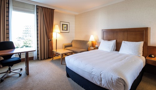 Habitación Premium, 1 cama de matrimonio con sofá cama, vistas al parque