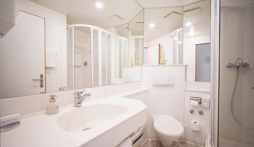 Habitación estándar doble (Waldhaus)