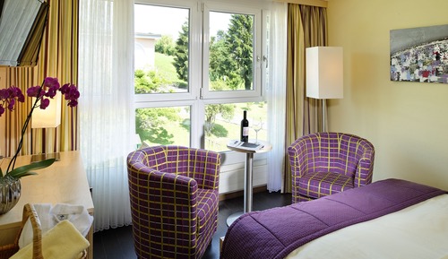 Habitación estándar doble, balcón, vistas al lago