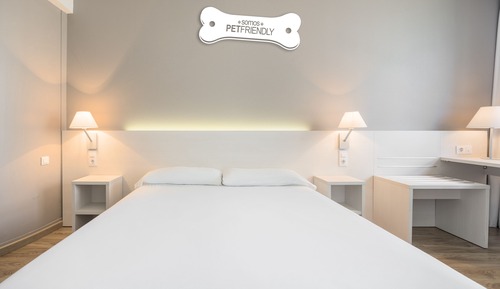 Habitación doble, mascotas