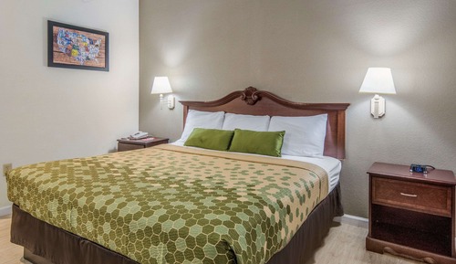 Habitación estándar, 1 cama de matrimonio grande, no fumadores