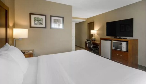 Habitación estándar, 1 cama de matrimonio grande, no fumadores