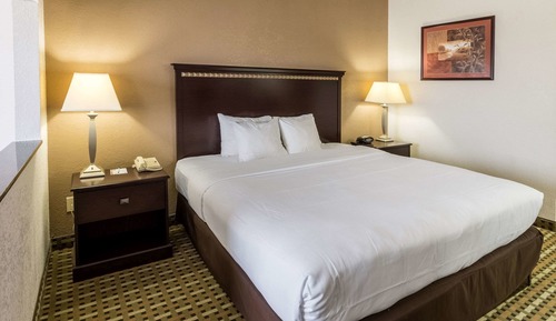 Suite estándar ( 1 King Bed, Non Smoking)