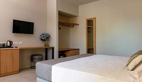 Habitación Deluxe con 1 cama doble o 2 individuales, vistas al jardín