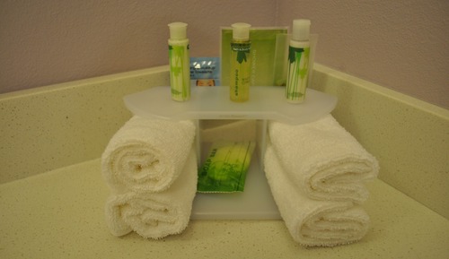 Suite, accesible para personas con discapacidad (Hearing, Roll-In Shower)