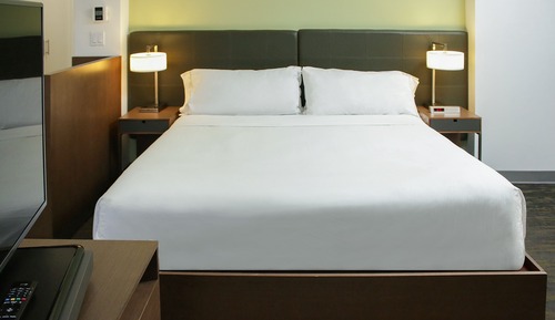 Estudio, 1 cama de matrimonio grande con sofá cama (Mobility/Hearing Access, Roll-In Shwr)