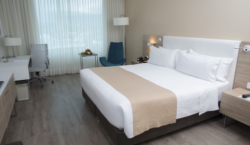 Habitación estándar, 1 cama de matrimonio grande (High Floor)