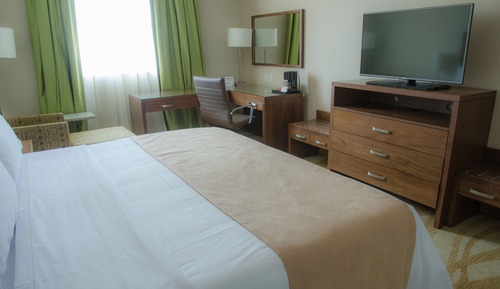 Suite, 1 cama de matrimonio grande