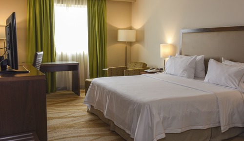 Habitación estándar, 1 cama de matrimonio grande