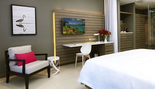 Habitación ejecutiva, vistas al jardín