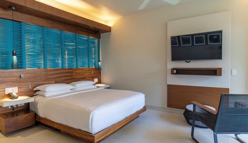 Habitación Premium, 1 cama de matrimonio grande, vistas al jardín
