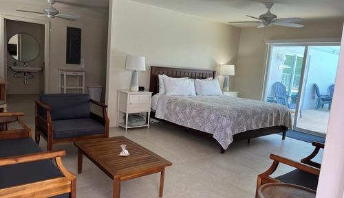 Suite, 1 cama de matrimonio grande, cocina (The Palm)