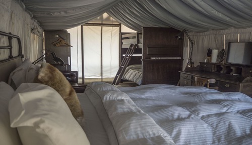Safari Tent King with bunks