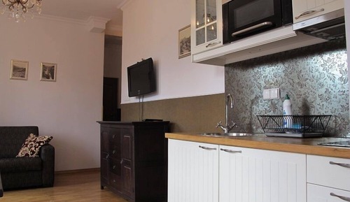 Apartamento, 1 habitación (Radowid 19)