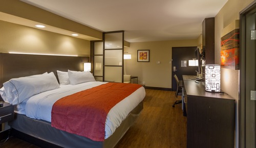 Suite, 1 cama de matrimonio grande con sofá cama